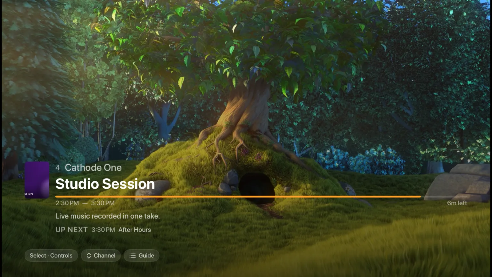 Full-screen playback on Apple TV with the channel banner showing the current programme, its progress and what's up next
